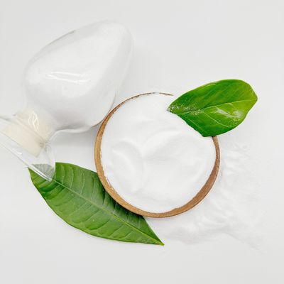 Aditif makanan 99,5% Anhydrous 30-100 Mesh Monohydrate Serbuk asam sitrat