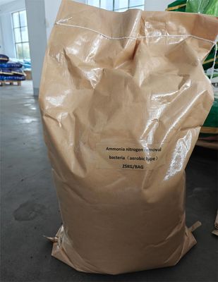Efisien Amonia Nitrogen Reduction bubuk coklat Agen Bakteri Ramah Lingkungan Untuk Pengolahan Air Limbah