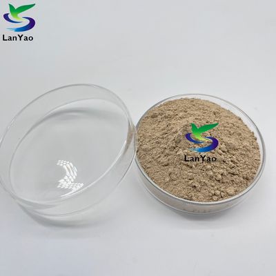Aerobic Anaerobic Antibiotik Aerobic Anaerobic Bakteri Dalam Pengolahan Air Limbah Budaya Bakteri