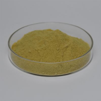 Koagulan Ferric Sulfate yang dapat disesuaikan untuk solusi pengolahan air
