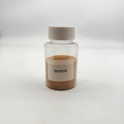 2 Tahun Shelf Life Pengolahan Air Biobakteria Tidak beracun Ramah lingkungan dengan Sertifikasi ISO 14001