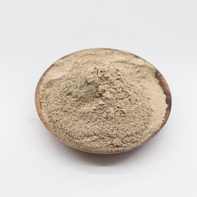 Pembersihan Air Biokimia dengan Bakteri Bio dan Sertifikasi ISO 14001 Kombinasi yang Menang