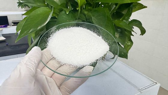 Polimer pengolahan air profesional PAM dengan masa simpan 2 tahun dan residu monomer ≤ 0,05%